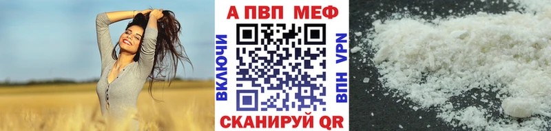 A PVP СК  Карабаново 