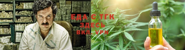 СК Зеленодольск